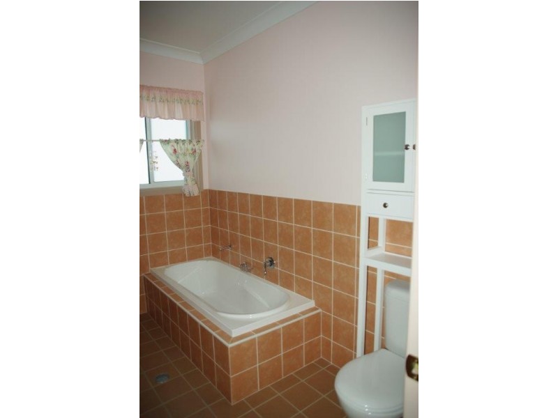 159 Pierce Street, Wellington NSW 2820