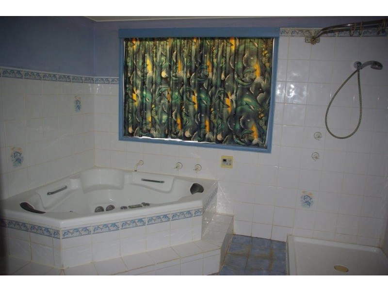 50 Percy Street, Wellington NSW 2820