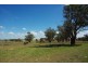 0 Hiddendale, Binnaway NSW 2395