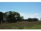 0 Hiddendale, Binnaway NSW 2395