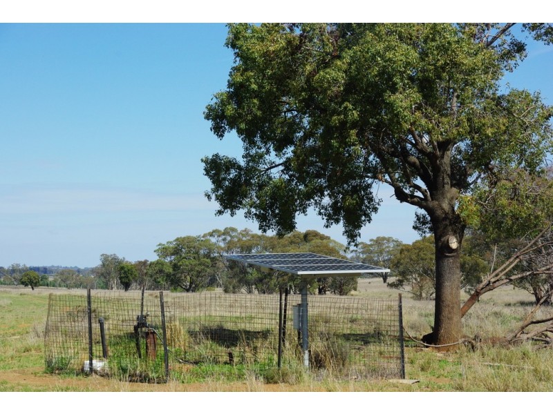 0 Hiddendale, Binnaway NSW 2395