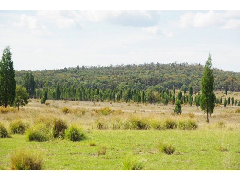 0 Hiddendale, Binnaway NSW 2395