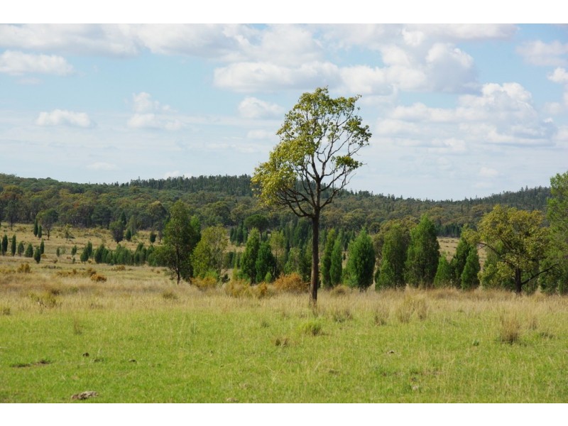 0 Hiddendale, Binnaway NSW 2395