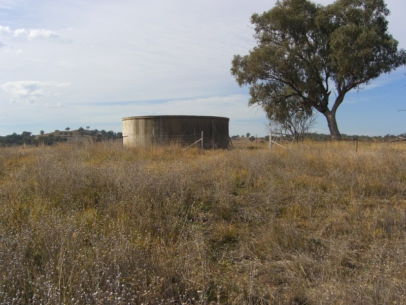 9222 Mitchell Highway, Wellington NSW 2820