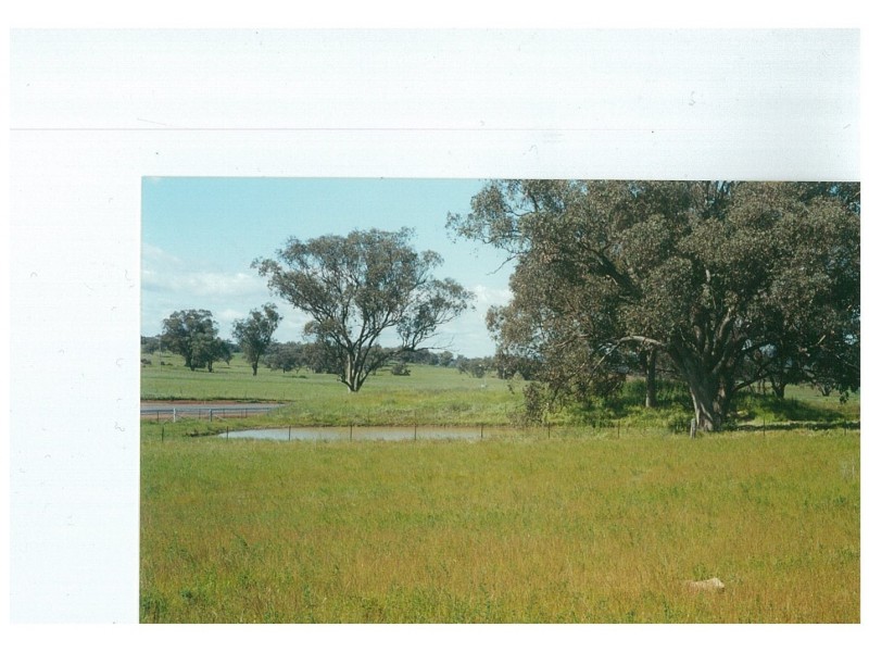 9222 Mitchell Highway, Wellington NSW 2820