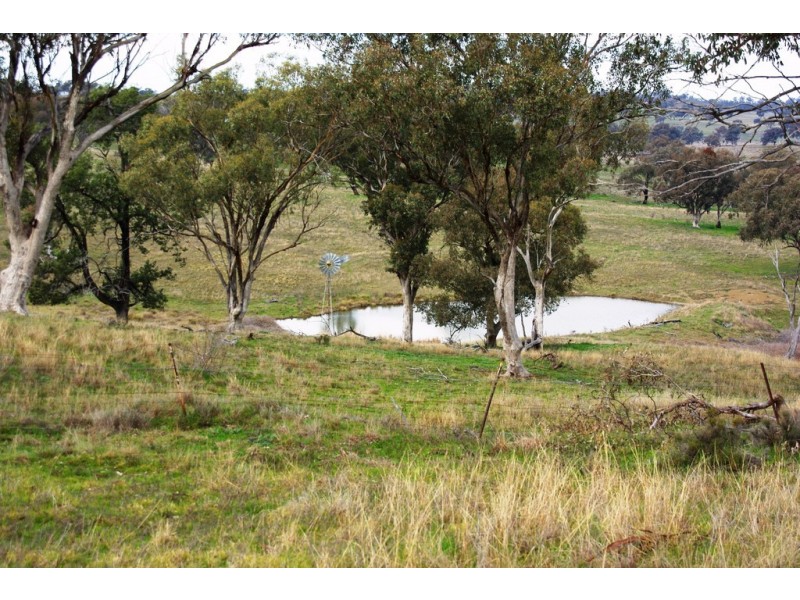 Mumbil NSW 2820