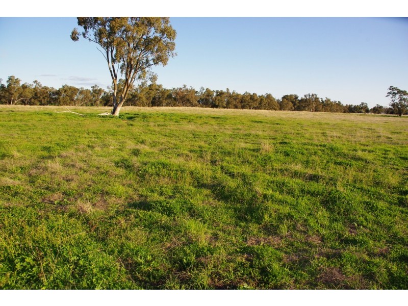 5L Gilgandra Road, Brocklehurst NSW 2830