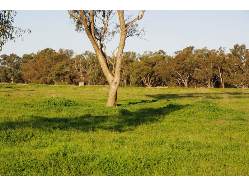 5L Gilgandra Road, Brocklehurst NSW 2830