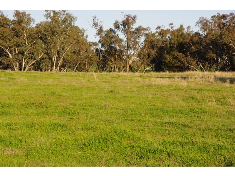 5L Gilgandra Road, Brocklehurst NSW 2830