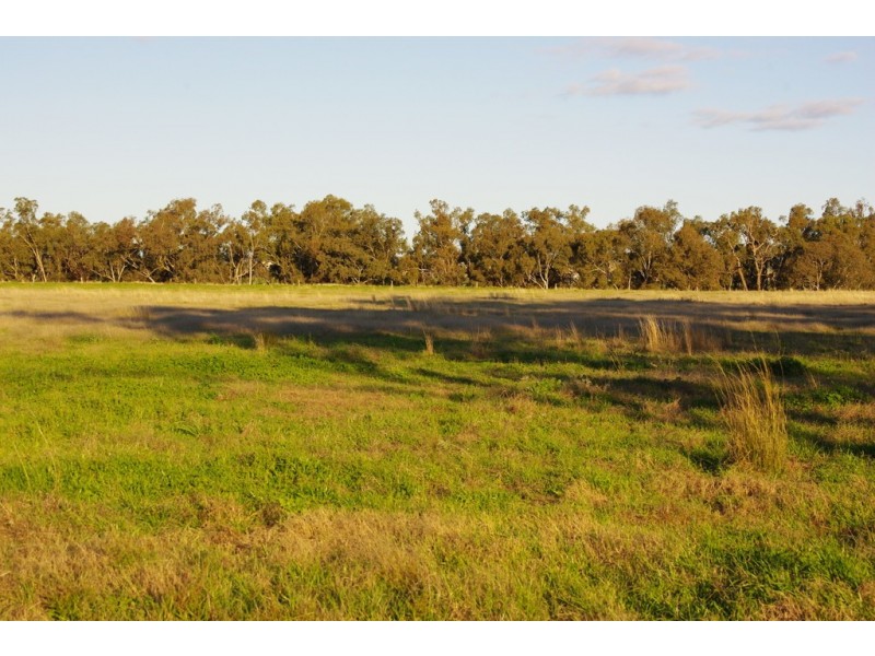 5L Gilgandra Road, Brocklehurst NSW 2830