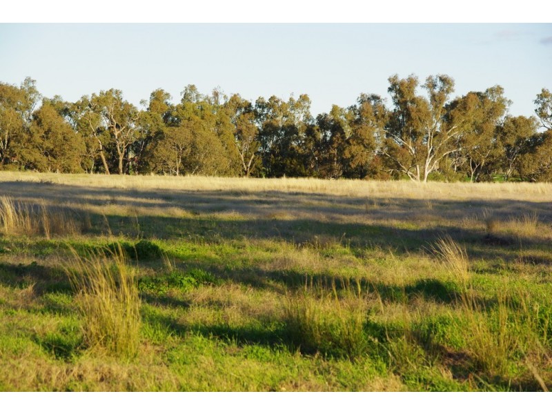 5L Gilgandra Road, Brocklehurst NSW 2830