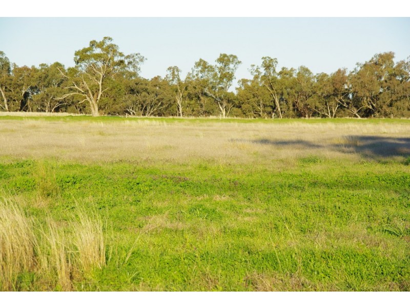 5L Gilgandra Road, Brocklehurst NSW 2830