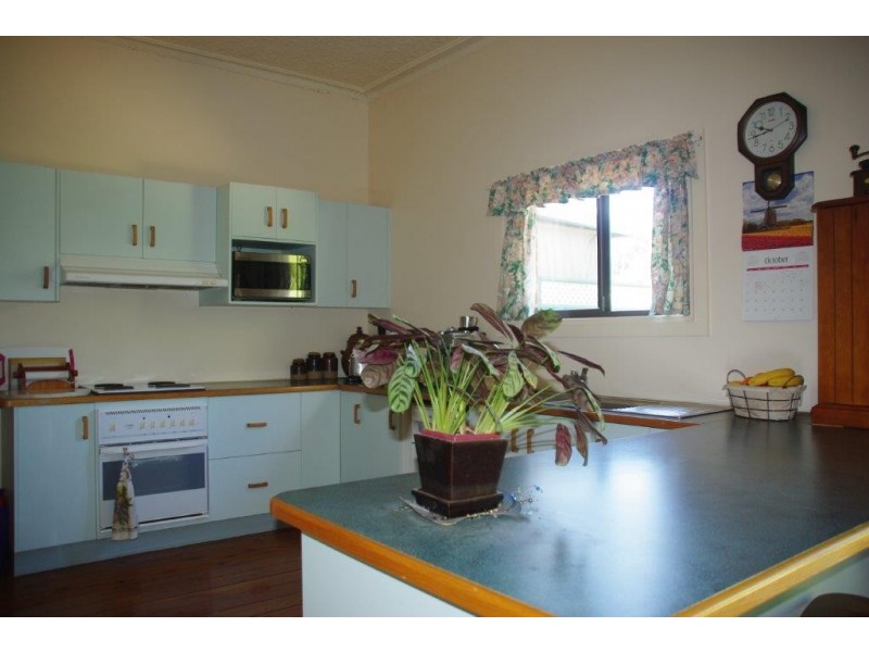21 Maxwell Street, Wellington NSW 2820