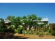 68 Pierce Street, Wellington NSW 2820