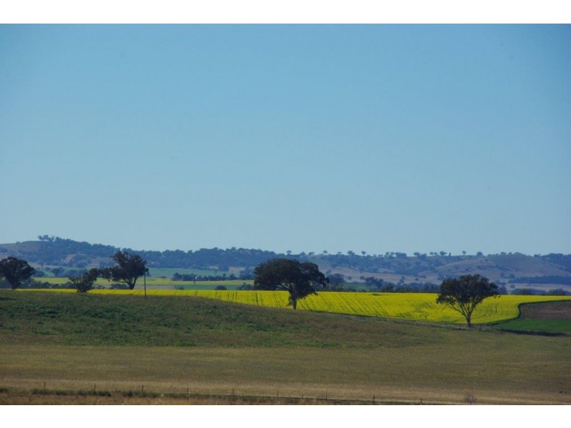 26 Phillipsons Lane, Maryvale NSW 2820