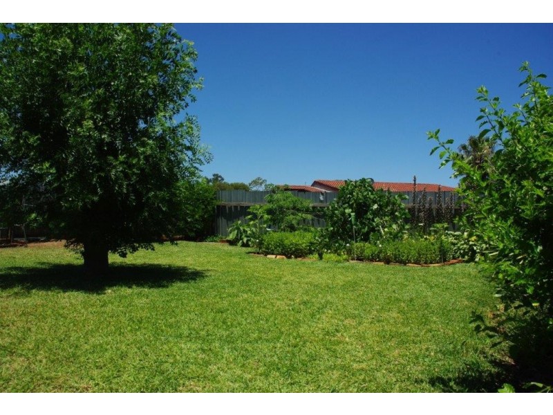 123 Maxwell Street, Wellington NSW 2820