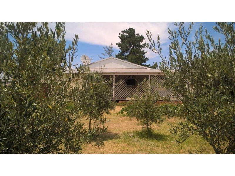 28 Cudgegong Street, Mumbil NSW 2820