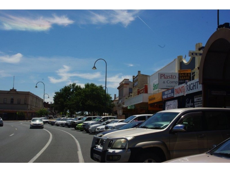 44 Warne Street, Wellington NSW 2820