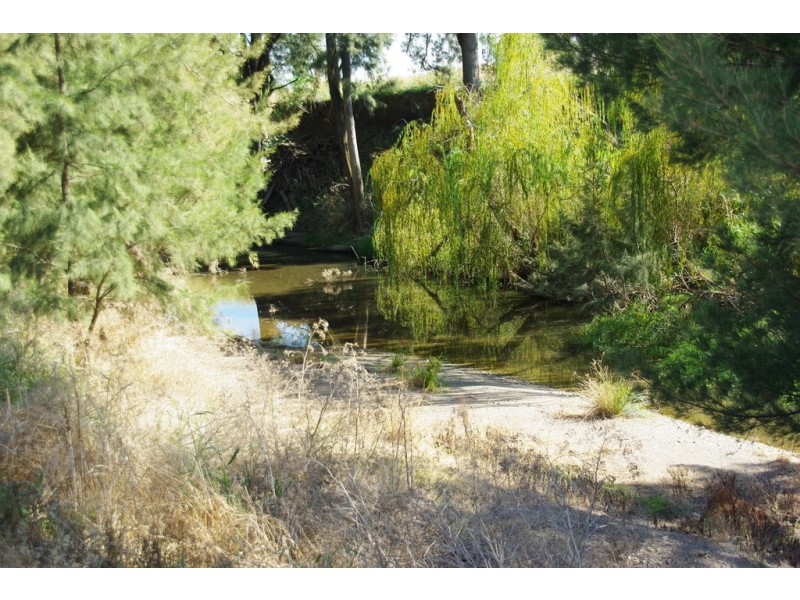 54 Kinghorn Street, Wellington NSW 2820