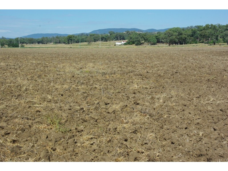 54 Kinghorn Street, Wellington NSW 2820