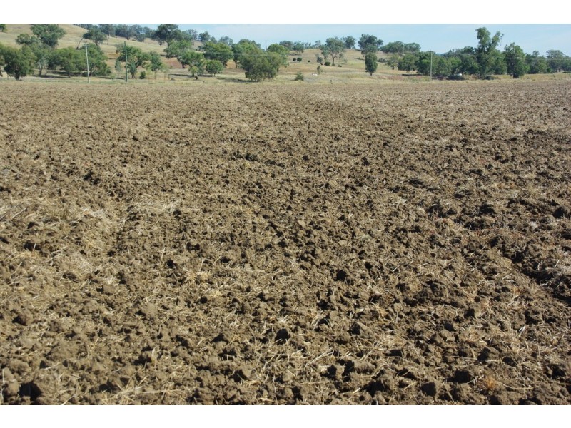 54 Kinghorn Street, Wellington NSW 2820