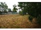 117 Pierce Street, Wellington NSW 2820