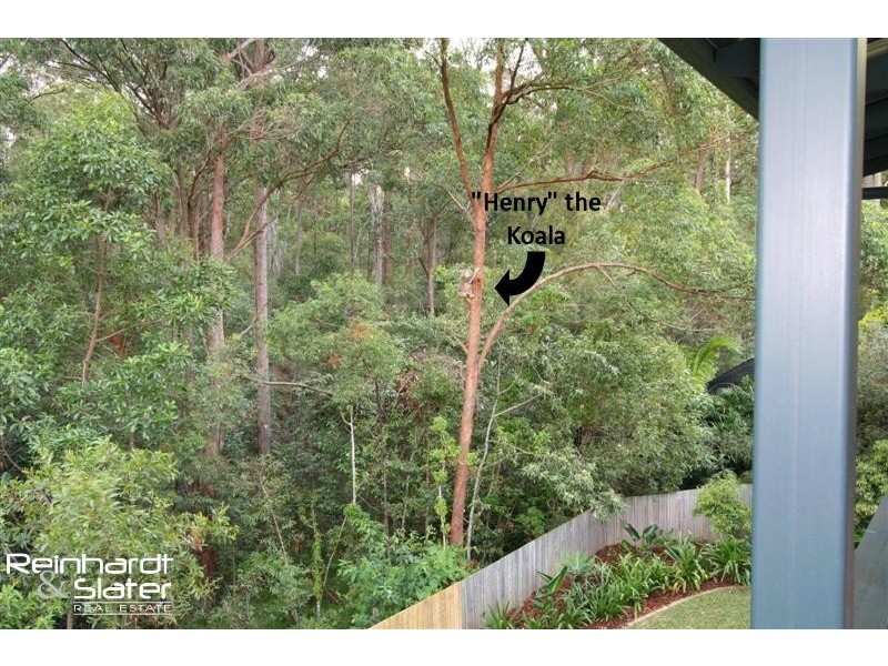 132 Saraband Dr, Eatons Hill QLD 4037