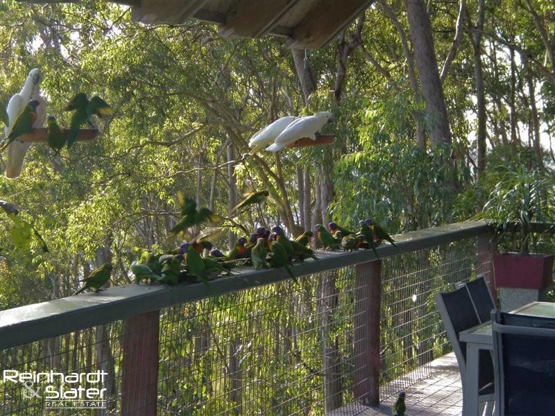 1088 Mt Nebo Rd, Jollys Lookout QLD 4520