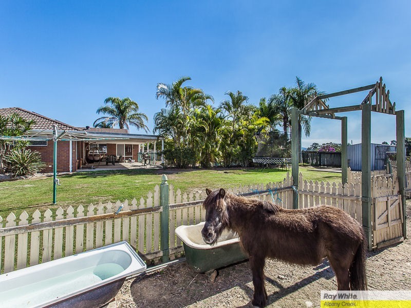 5 Listonia Drive, Albany Creek QLD 4035