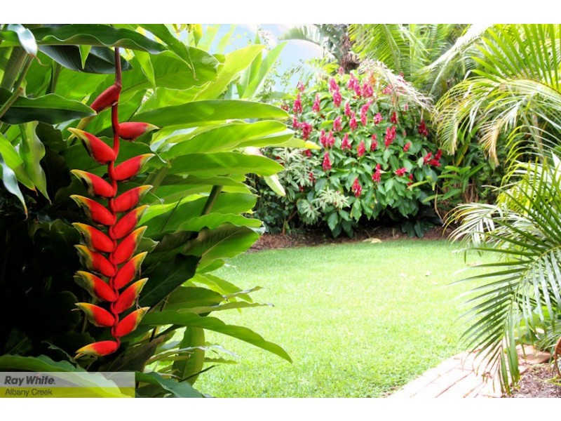 23 Trevallyn Pl, Upper Kedron QLD 4055