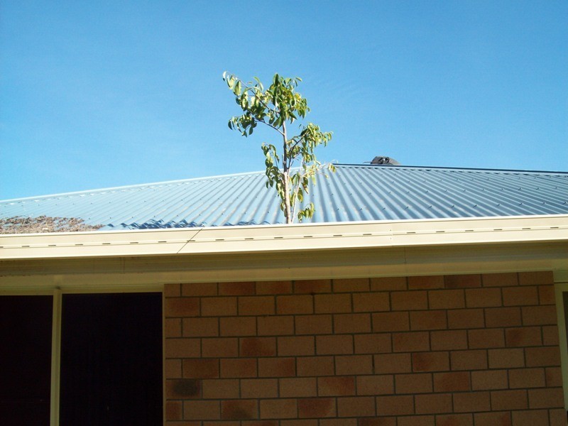 22 Nadina Drive, Andergrove QLD 4740