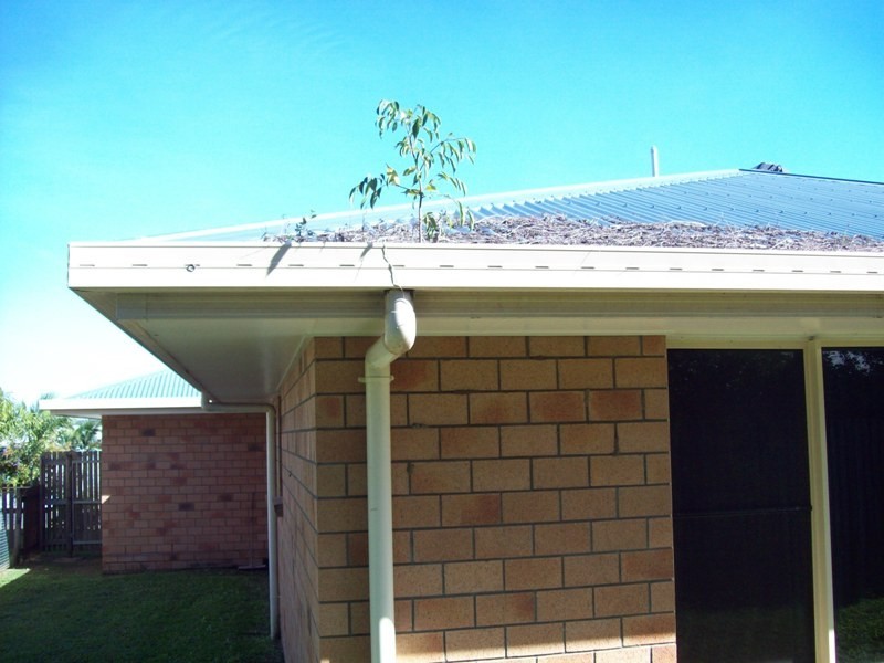 22 Nadina Drive, Andergrove QLD 4740