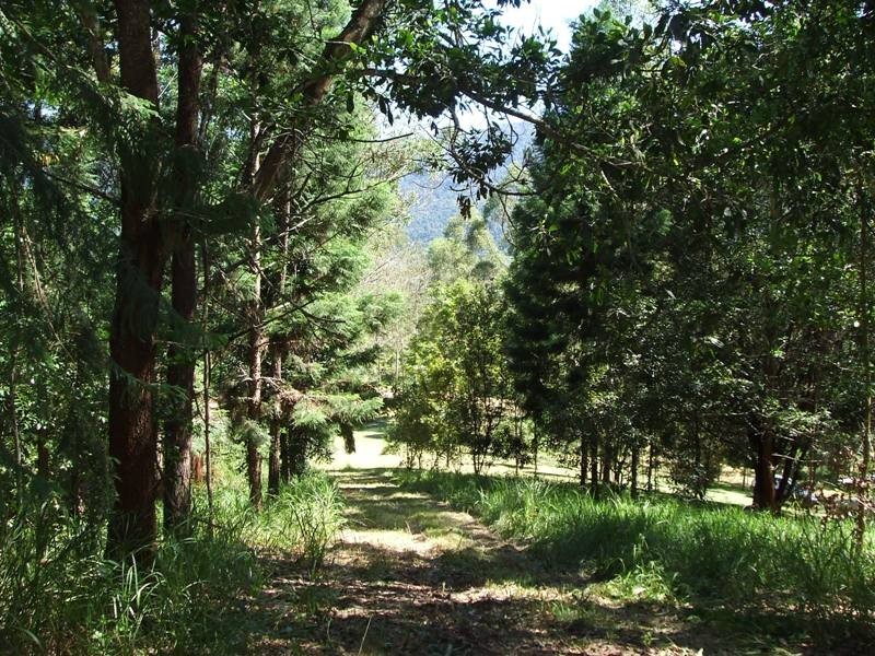 566 Gorge Road, Finch Hatton QLD 4756