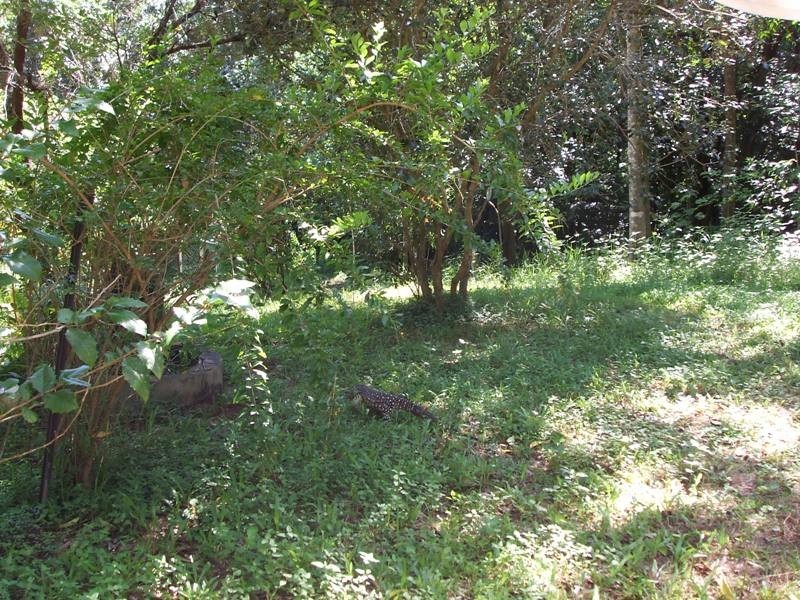 566 Gorge Road, Finch Hatton QLD 4756