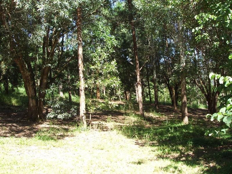 566 Gorge Road, Finch Hatton QLD 4756