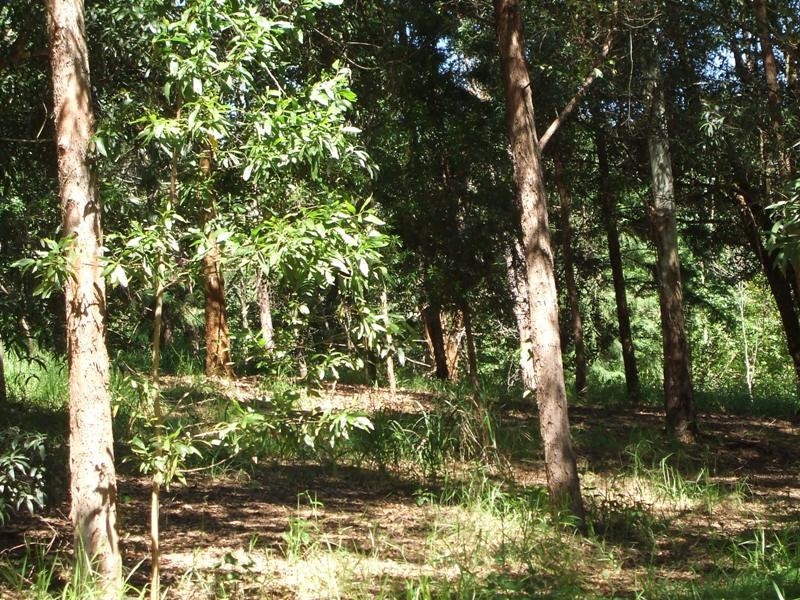 566 Gorge Road, Finch Hatton QLD 4756