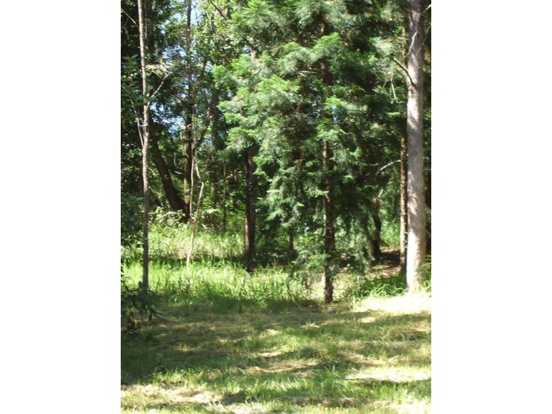 566 Gorge Road, Finch Hatton QLD 4756