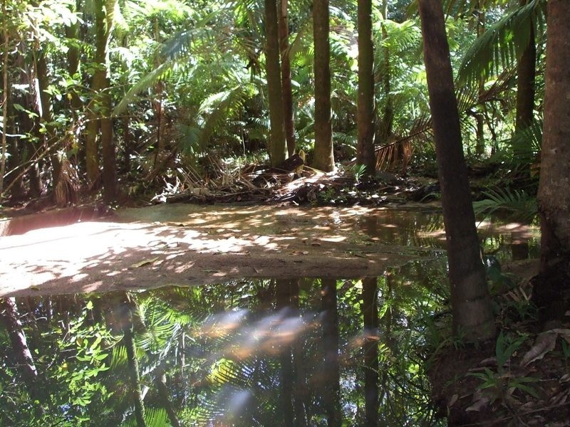 566 Gorge Road, Finch Hatton QLD 4756