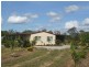 647 Old Bowen Road, Pindi Pindi QLD 4798
