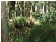 647 Old Bowen Road, Pindi Pindi QLD 4798