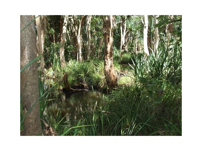 647 Old Bowen Road, Pindi Pindi QLD 4798