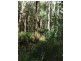 647 Old Bowen Road, Pindi Pindi QLD 4798