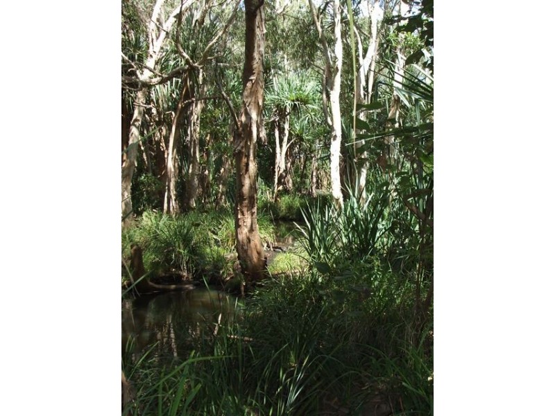 647 Old Bowen Road, Pindi Pindi QLD 4798