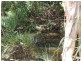 647 Old Bowen Road, Pindi Pindi QLD 4798