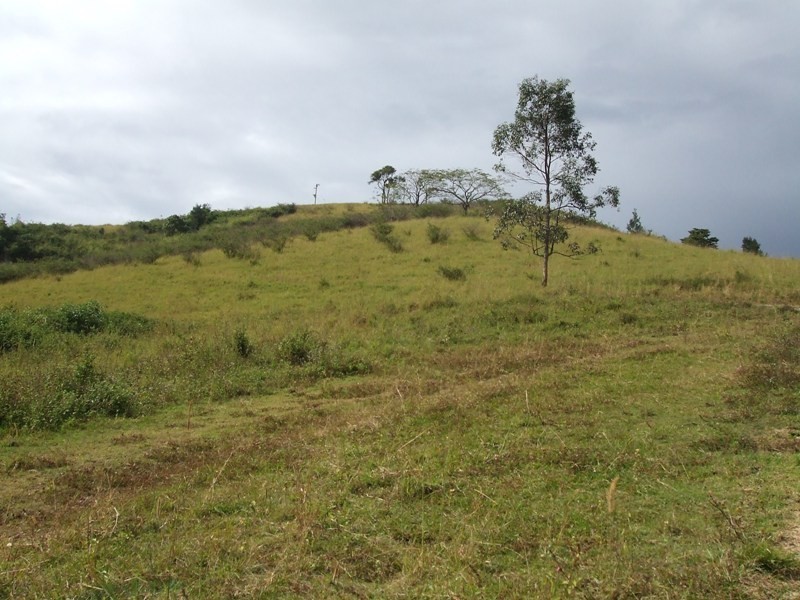 Lot 2 Bee Creek Road, Eungella QLD 4757