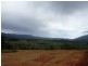 Lot 2 Bee Creek Road, Eungella QLD 4757