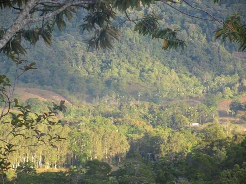 Lot 27 Gorge Road, Finch Hatton QLD 4756