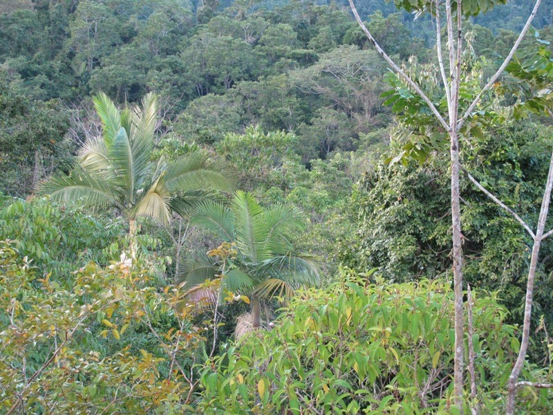 Lot 27 Gorge Road, Finch Hatton QLD 4756