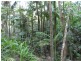 Lot 27 Gorge Road, Finch Hatton QLD 4756