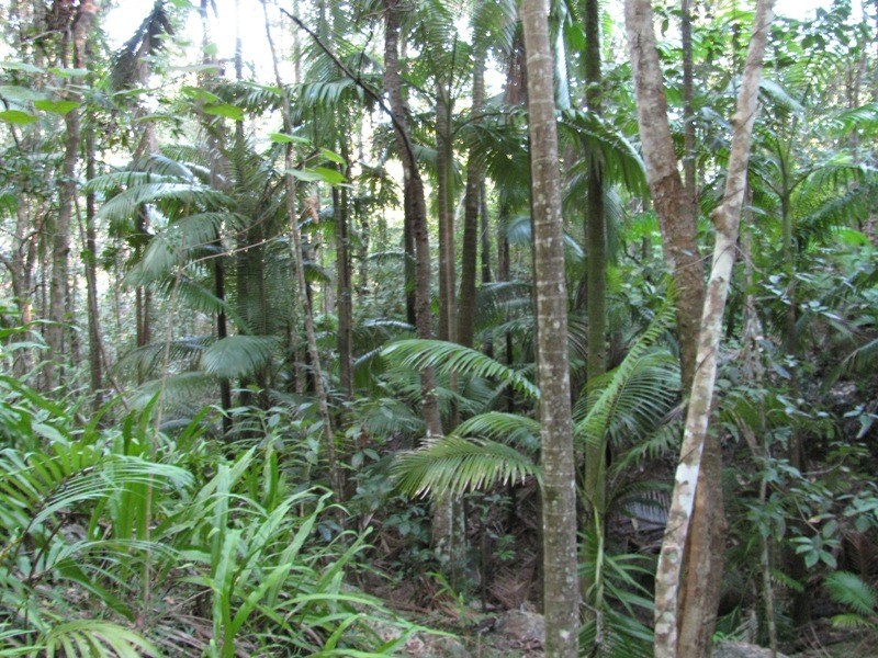 Lot 27 Gorge Road, Finch Hatton QLD 4756